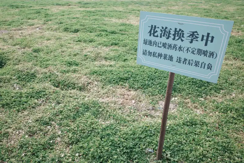 全车车饰定制服务案例：从脚垫到后备箱垫的一站式配套
