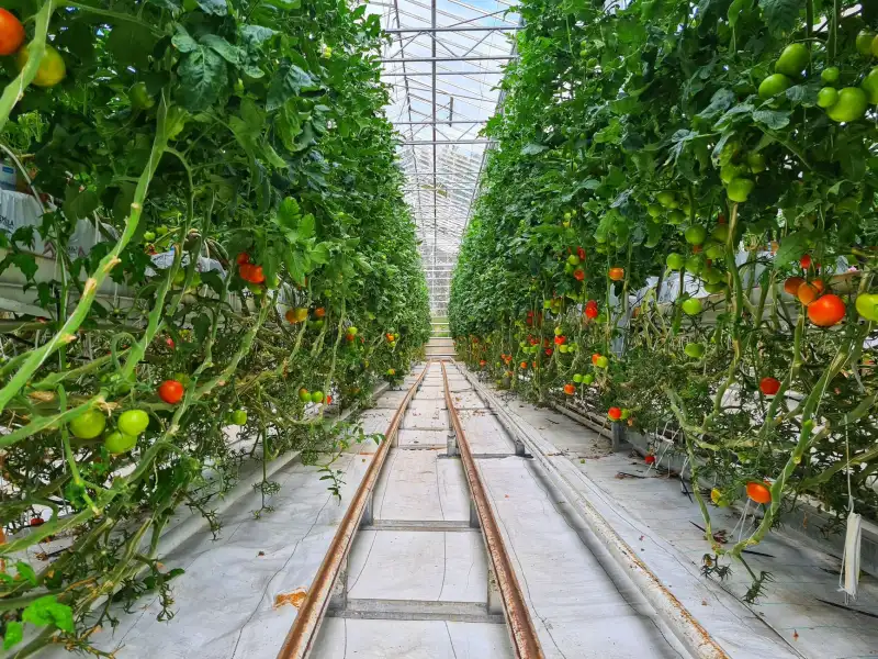 汽车座垫环保耐磨材料技术解析与选购指南