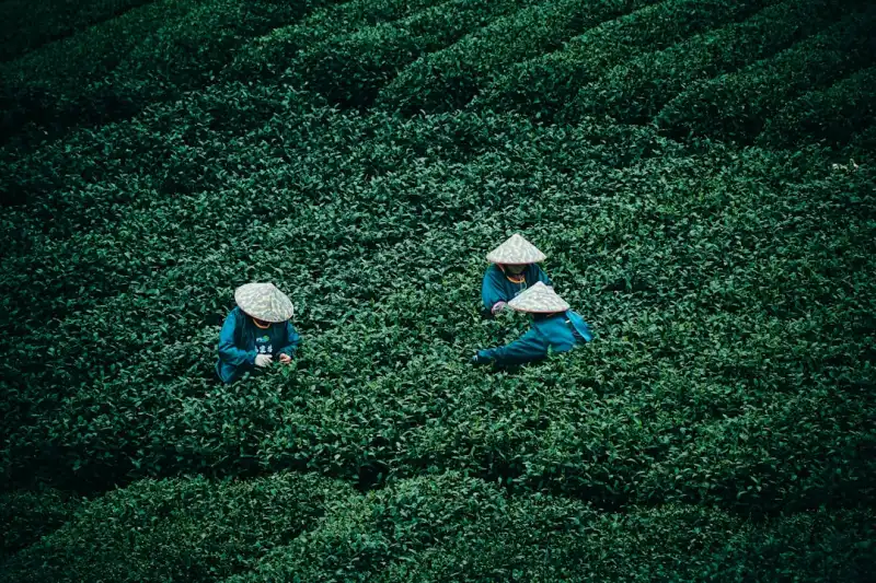 汽车脚垫材质对比分析：环保耐磨材料如何提升车内使用寿命