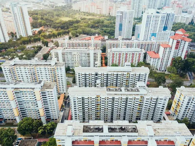 2025年汽车内饰材料环保标准更新对脚垫行业的影响分析
