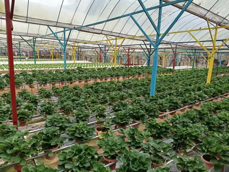 重庆渝中区汽车脚垫专车专用版型与环保材质技术解析